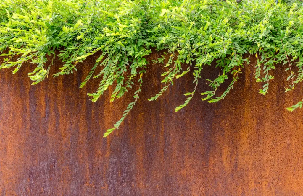 Detail van de patina op een cortenstalen plantenbak, gemaakt door Vlaeminck Cortenstaal in Industriepark 43 Beernem (geen link met Vlaeminck Industriepark Noord 15 of André Vlaeminck)